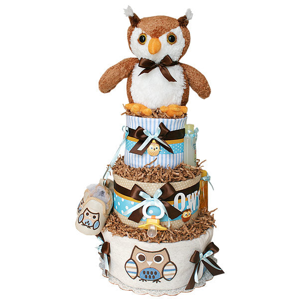 Blue and Brown Owl Diaper Cake